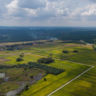 aerial-view-agriculture-land-paddy-fields-sungai-rambai-melaka-malaysia